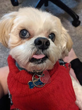 Load image into Gallery viewer, Appa's Cinnabun Coffee (12 oz): Whole Bean & Ground