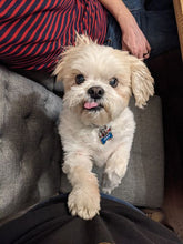 Load image into Gallery viewer, Appa's Cinnabun Coffee (12 oz): Whole Bean & Ground