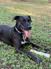 Load image into Gallery viewer, Rachel's Hazelnut Coffee (12 oz): Whole Bean & Ground