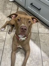 Load image into Gallery viewer, Penny's Cinnamon Hazelnut Coffee (12 oz): Whole Bean & Ground