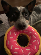 Load image into Gallery viewer, Bandit's Bali Blue Organic (12 oz) - Harvey Coffee Company