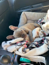 Load image into Gallery viewer, Birdie's French Roast Blend (12 oz) - Harvey Coffee Company