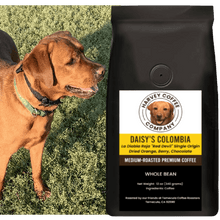 Load image into Gallery viewer, Daisy's La Diabla Roja Colombia (12 oz) - Harvey Coffee Company