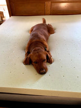 Load image into Gallery viewer, Daisy's La Diabla Roja Colombia (12 oz) - Harvey Coffee Company