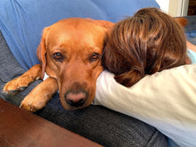 Load image into Gallery viewer, Daisy's La Diabla Roja Colombia (12 oz) - Harvey Coffee Company