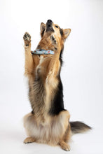 Load image into Gallery viewer, Jasper's Cowboy Blend (12 oz) - Harvey Coffee Company