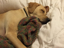 Load image into Gallery viewer, Katy Bug's French Vanilla Coffee (12 oz) - Harvey Coffee Company