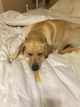 Load image into Gallery viewer, Katy Bug's French Vanilla Coffee (12 oz) - Harvey Coffee Company