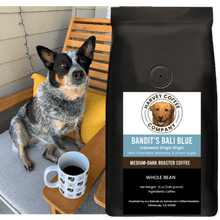 Load image into Gallery viewer, Bandit&#39;s Bali Blue Organic (12 oz) - Harvey Coffee Company
