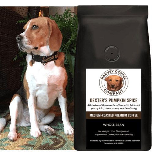 Dexter's Pumpkin Spice (12 oz) - Harvey Coffee Company